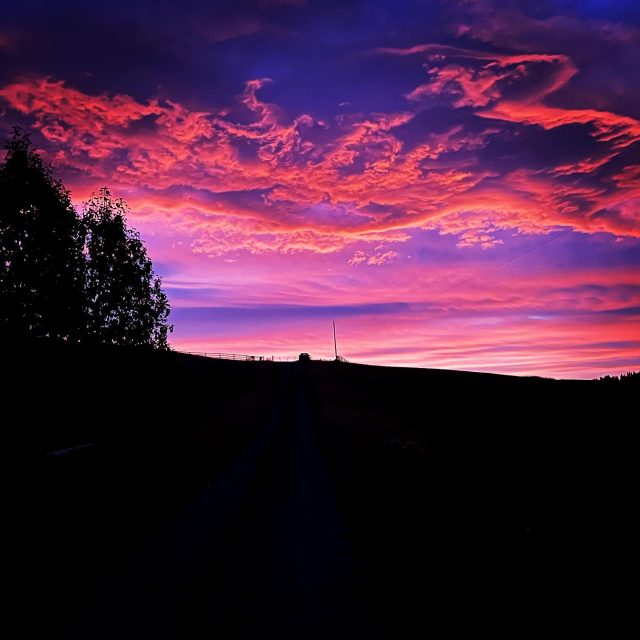 Leaving my truck behind at the crack of dawn to chase those ever-elusive elk.

#hunting #outdoors #hunt #hunter #deerhunting #fishing #nature #bowhunting #photography #deer #archery #camping #outdoor #wildlife #shooting #guns #elk #jagd #chasse #whatgetsyououtdoors #whitetail #hunters #hiking #adventure #jakt #tactical #huntingseason #elkhunter #bowhunter #freewhitenorth